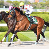 競馬初心者必見☆馬券予想🔥〜アンタレスS〜逃げ馬から積極的に勝負！