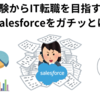 【IT転職】未経験でもIT転職してみたいならSalesforceを頑張るのがコスパいいと思うんだ。