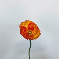 パンジーの切り花のお勧めポイントはこれだ はなめも 花屋のメモ帳 パンジーの切り花のお勧めポイントはこれだ はなめも 花屋のメモ帳
