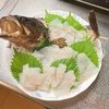 釣りにハマったって話。②