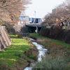 残堀川を昭和記念公園から多摩川まで、大滝とカワセミたち