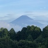 今朝の景色