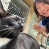 健康診断。