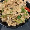 伝説のすた丼屋　アリオ橋本店〜生姜丼／肉飯増し／フードコート／アントワークス〜