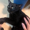【241016】四半期振り返り