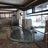 箱根湯本温泉【箱根花紋】日帰り入浴記「お城風旅館の温泉テーマパーク」