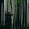撮影設定の要点：ISO感度の理解