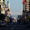 高崎公園周辺散歩　霜柱・浅間山・榛名山・谷川連峰・今日は１℃