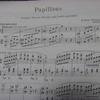 シューマン　パピヨン　作品2/Schumann Papillons Op.2