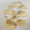 写生体験は存在の奇跡を証明している…