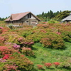 高峠つつじヶ丘公園