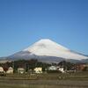 麓まで雪が積もった富士山