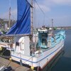 春の試練はいつまで続く？稲取沖のアカムツ