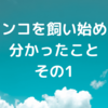 インコを飼い始めて分かったこと！その1 　賢い