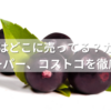 アサイーはどこに売ってる？カルディや業務スーパー、コストコを徹底調査！