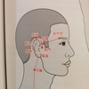 耳鳴りの治療について(肝)