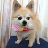 ★ムークくん★
