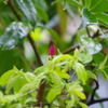 雨雨・・・寒々しい雨