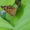 苦しい「釈明」。