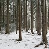 雌阿寒岳(1499m)