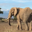 kenyamatecchanのブログ