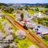 【小湊鉄道】桜 4K Drone Japan 空撮ドローン Cherry Blossom ドローン男子