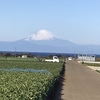 2022年1月三浦七福神巡り