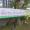 たまにゃコンビニ巡り