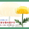 簡単な菊の描き方