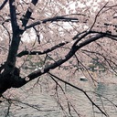 七階。