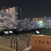 桜・におどり公園