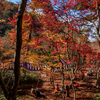 有馬温泉瑞宝寺公園の紅葉