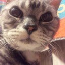 ウメの■■■■