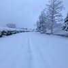 いい加減にしろよ的な雪ではある。