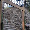 「墓参りに行く 2024（大谷祖廟・深大寺動物霊園）」