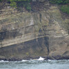 松島湾の風景その５