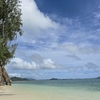 エメラルドグリーンの海カイルア。ワイキキからバスで1時間、スローな時間が流れてた【2026 Hawaii Chronicle Vol.5】