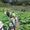 千葉・ハスまつりの公園や社寺を歩く