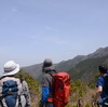 tochiko居ぬ間の一輪挿し　温和