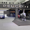 PEUGEOT  SHOW2019、やっとこさ出てきた208とRIFTER。