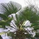 これでもまじめに働いています in フランス