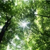 次に日本が目指すべき豊かさとは