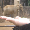 動物園