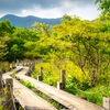 自宅でゆったりYouTube で 那須高原 へ ぜいたくで優雅な大人の旅行気分?! ≪めちゃ推しYouTube≫