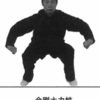 金剛大力樁功法特点及要領是什麽？（『大成拳学練300問』より）