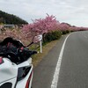 桜ソロツーからオイル交換(熊谷寺〜湊川〜ロマンティック海道〜小松島)