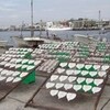 春の城ヶ島