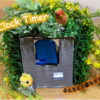 『Bird Clock Timer』を作った ～あなたに大事なジカンをお知らせ～