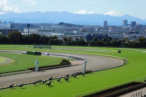 【競馬ブログ】「気まぐれウマ放談」 オークス・ダービーも混戦？～3歳GⅠ戦線定点観測