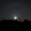 今夜の月